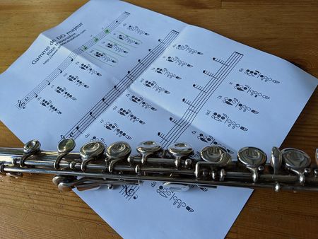 Иллюстрация без описания