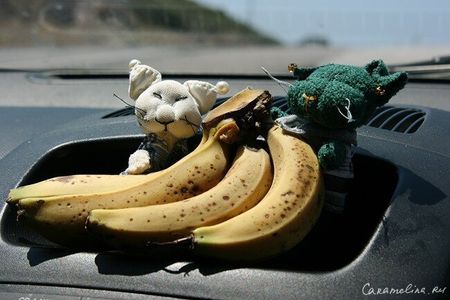 Пальмовый лес, пляж Ваи