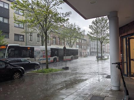 Иллюстрация без описания