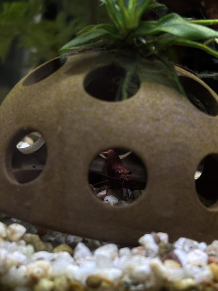 Иллюстрация без описания