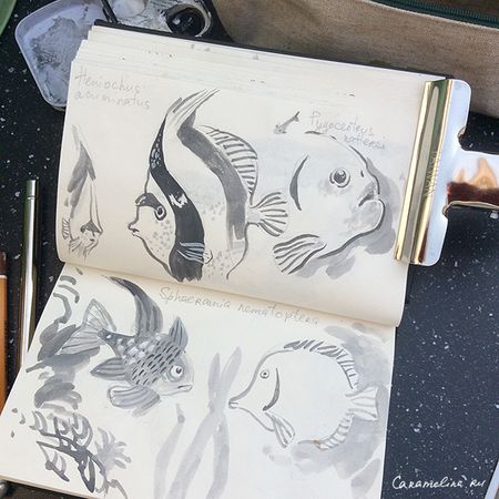 Льеж, Бельгия, аквамузей!