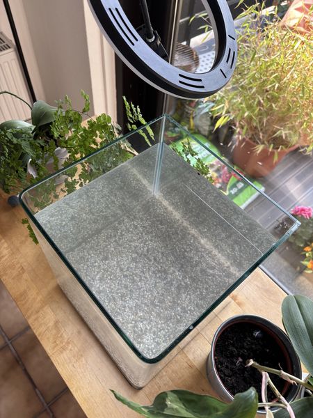 Иллюстрация без описания