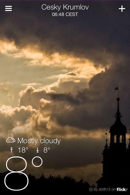 Становитесь звери в ряд.