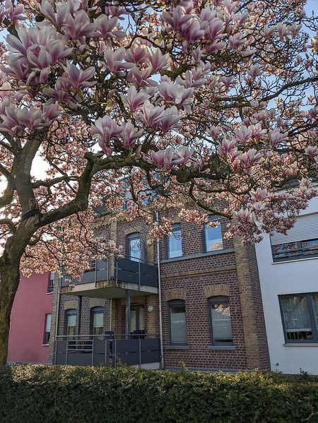 Иллюстрация без описания