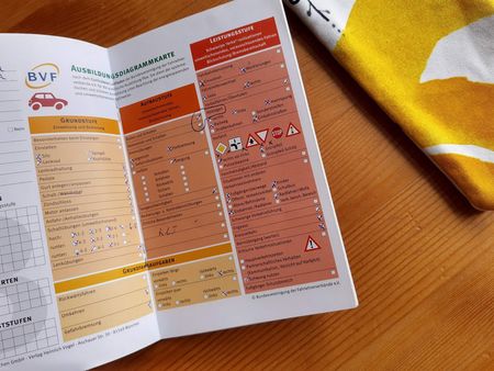 Иллюстрация без описания