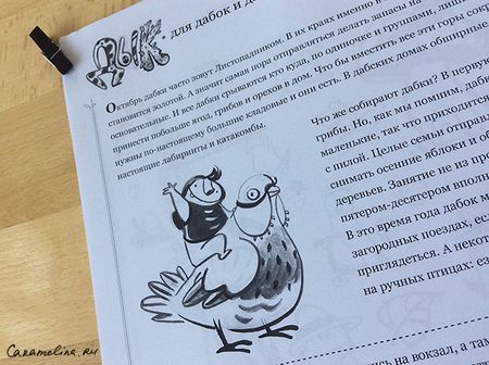 Октябрьский Дык