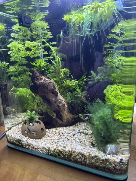 Иллюстрация без описания