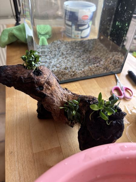 Иллюстрация без описания