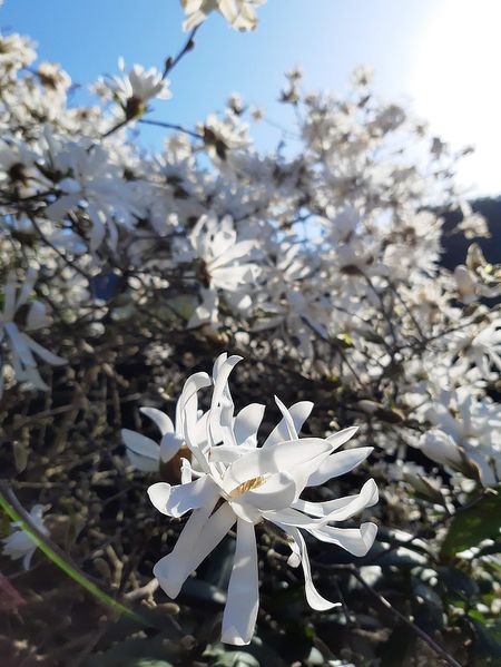 Иллюстрация без описания