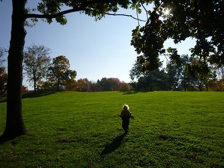 Поездка в Boesner