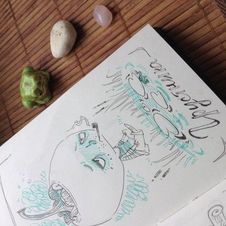 Сорока-белобока