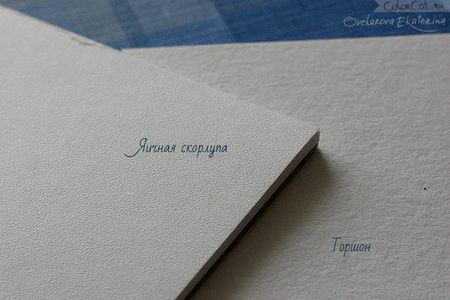 Иллюстрация без описания