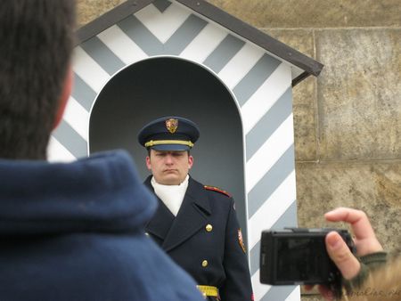 Собор св. Вита, смена караула