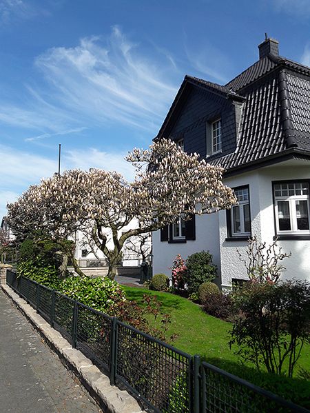 Как это было - подготовка к экзамену по немецкому В1 и сам экзамен.