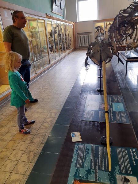 Иллюстрация без описания