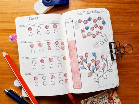 Иллюстрация без описания