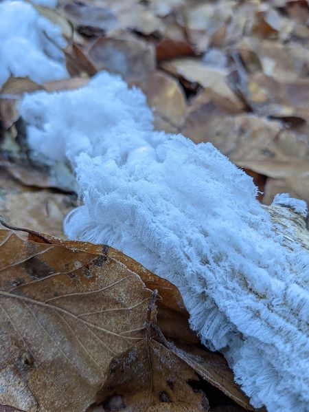 Иллюстрация без описания