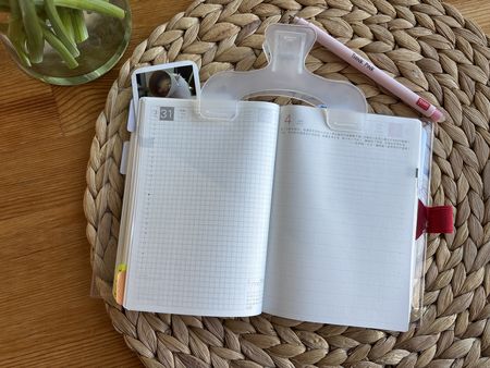 Иллюстрация без описания