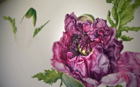 Акварельная ботаника