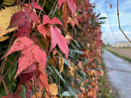 Иллюстрация без описания