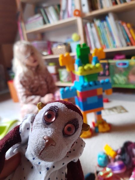 Иллюстрация без описания