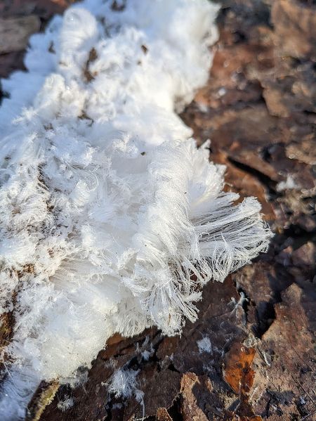 Иллюстрация без описания