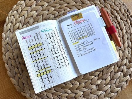 Иллюстрация без описания