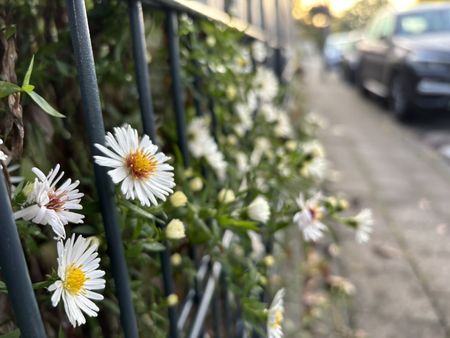 Иллюстрация без описания