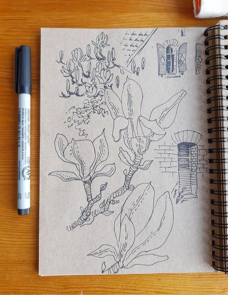 Иллюстрация без описания