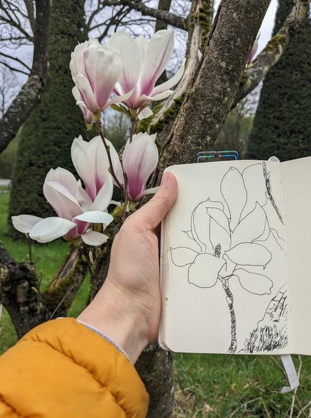 Иллюстрация без описания