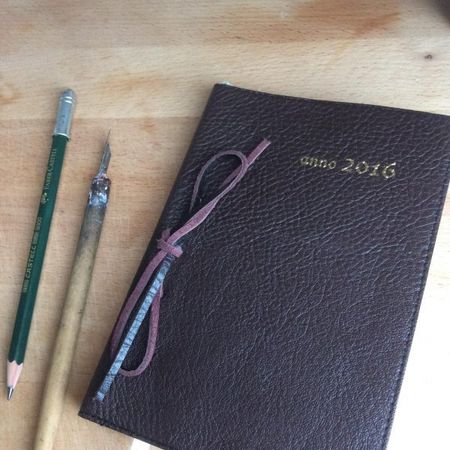 2016 год в картинках.