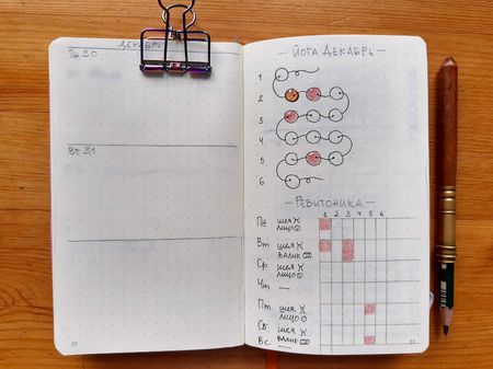 Иллюстрация без описания