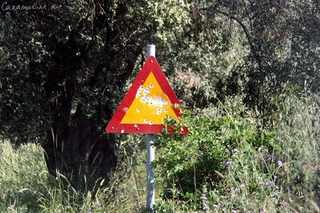 Дорожные знаки