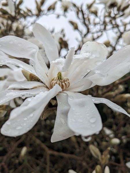 Иллюстрация без описания