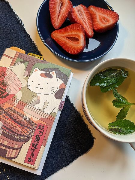 Иллюстрация без описания