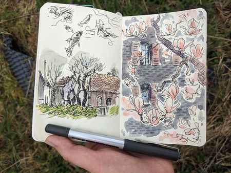 Время магнолий