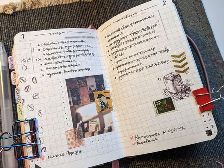 Иллюстрация без описания