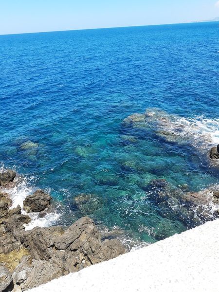 Иллюстрация без описания