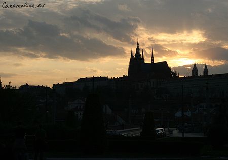 IMG_5352.jpg