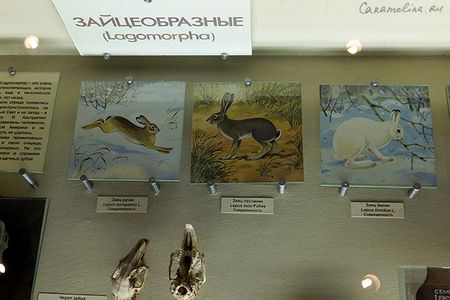 DSCF1754.jpg