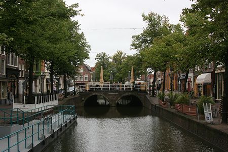 IMG_2061.jpg