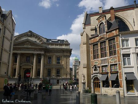 P1200624.jpg