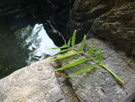 P1080912-600x450.jpg