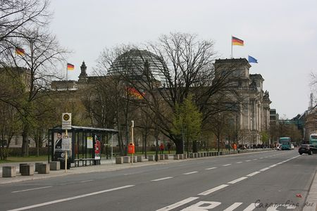 IMG_4646.jpg