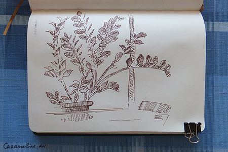 DSCF2154.jpg