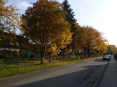 P1100930.jpg